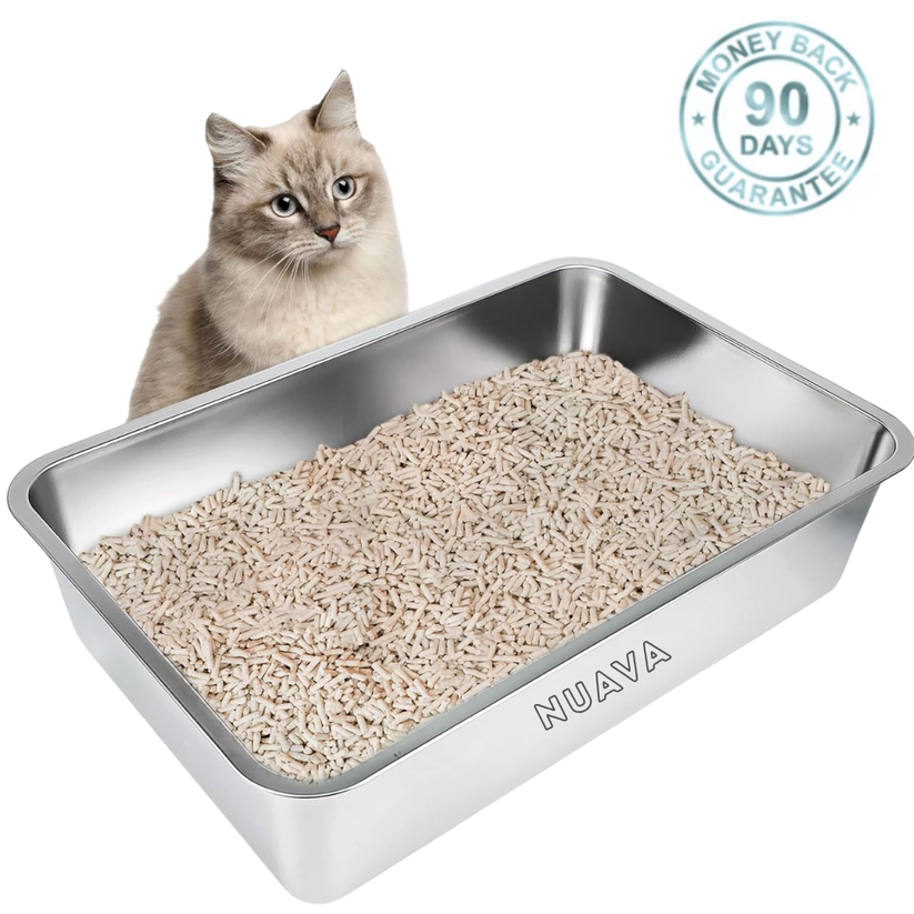 The Litter Box That Doesn't Smell